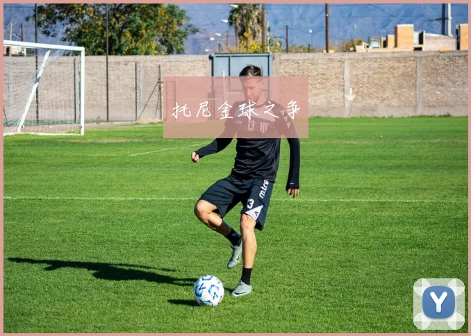 托尼金球之争
