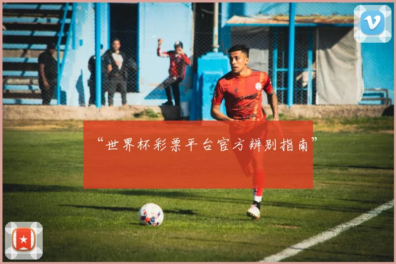 “世界杯彩票平台官方辨别指南”