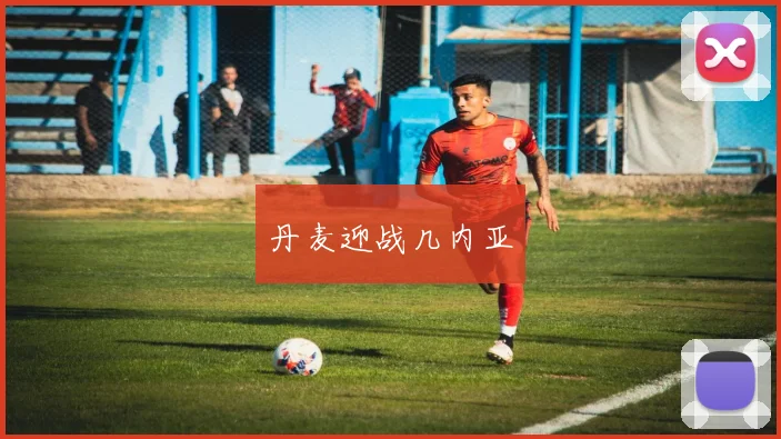 丹麦迎战几内亚