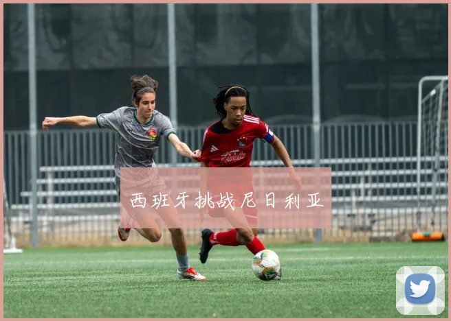 西班牙挑战尼日利亚