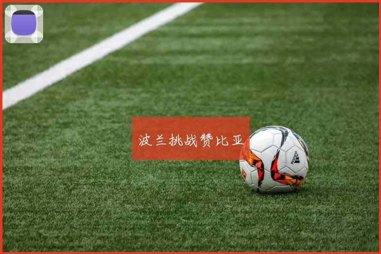 波兰挑战赞比亚