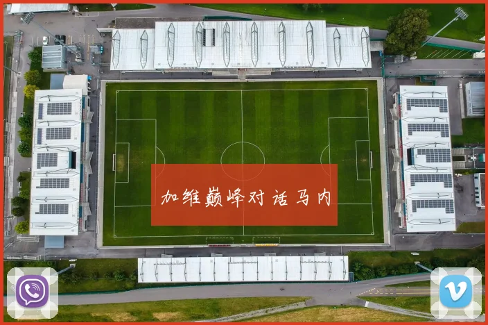 加维巅峰对话马内