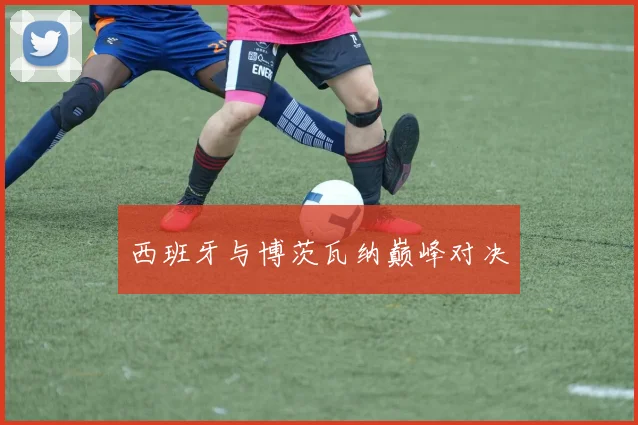 西班牙与博茨瓦纳巅峰对决