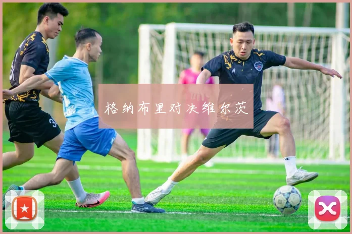 格纳布里对决维尔茨